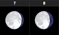 Lluna a dia 8 de Febrer a les 24 hores